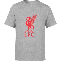  Koszulka męska Liverpool F.C. piłkarska szara